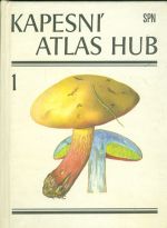Kapesni atlas hub