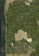 Ceskoslovensky zemedelec  Ustredni tydenik pro veskere zemedelstvi roc XI