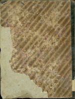 Vesmir  obrazkovy casopis pro sireni ved prirodnich roc 4 | antikvariat - detail knihy
