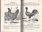 Chov zvirat hospodarskych Ucebna kniha pro stredni skoly hospodarske  I II III - Hessler Frantisek | antikvariat - detail knihy