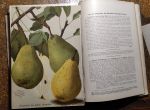 Deutsche Obstbauzeitung Jahrgang 1912 | antikvariat - detail knihy