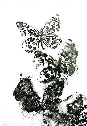 Motyl - Pastrnak Petr | antikvariat - detail grafiky