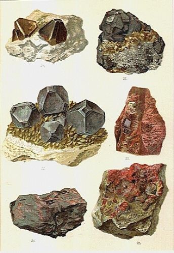 Mineraly | antikvariat - detail grafiky