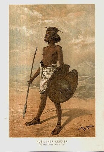 Nubischer Krieger | antikvariat - detail grafiky
