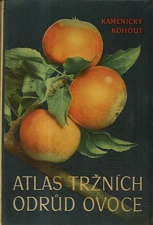 Atlas trznich odrud ovoce - Kamenicky Karel Kohout Karel | antikvariat - detail knihy