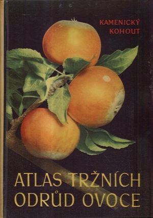 Atlas trznich odrud ovoce - Kamenicky Karel Kohout Karel | antikvariat - detail knihy