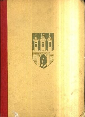 Povesti stovezateho mesta - Muller Vladimir | antikvariat - detail knihy