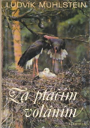 Za ptacim volanim - Muhlstein Ludvik | antikvariat - detail knihy