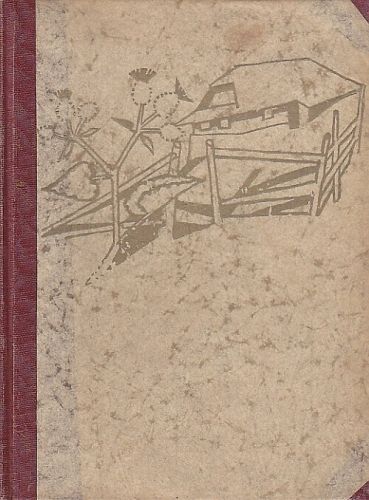 Serzant Vaurien - Rosulek Jan Vaclav | antikvariat - detail knihy