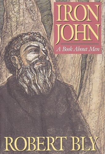 Iron John A Book About Men - Bly Robert | antikvariat - detail knihy