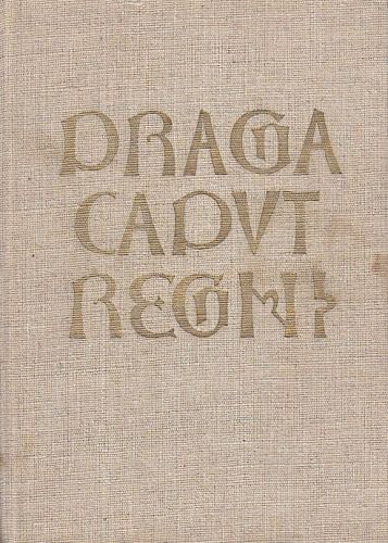 Dejiny Prahy - kolektiv autoru | antikvariat - detail knihy