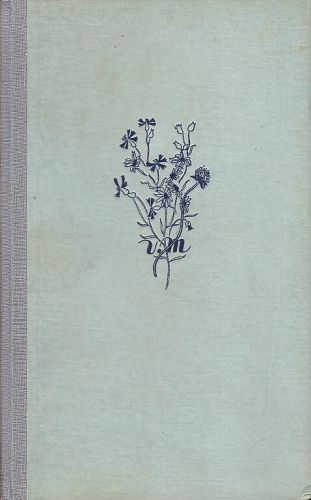 Pohadka maje - Mrstik Alois | antikvariat - detail knihy