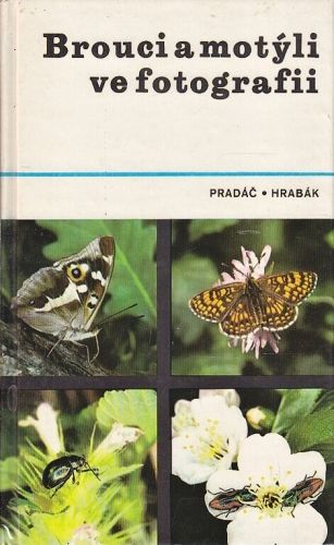 Brouci a motyli ve fotografii - Pradac Jiri Hrabak Rudolf | antikvariat - detail knihy
