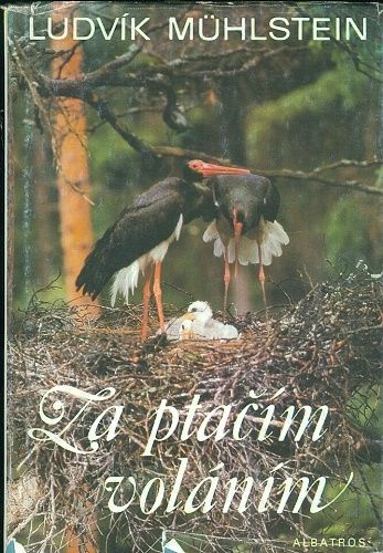 Za ptacim volanim - Muhlstein Ludvik | antikvariat - detail knihy