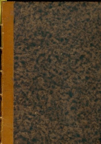 Zapadli vlastenci - Rais Karel Vaclav | antikvariat - detail knihy
