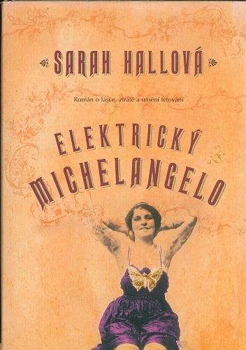 Elektricky Michelangelo  Roman o lasce ztrate a umeni tetovani - Hallova Sarah | antikvariat - detail knihy