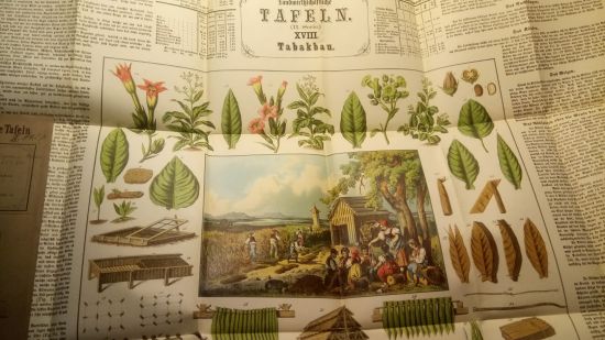 Landwirtschaflische Tafeln XVIII  Tabakbau - Babo Freih A | antikvariat - detail knihy
