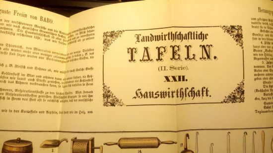 Landwirtschaflische Tafeln XXII  Hauswirthschaft - Babo Freih A | antikvariat - detail knihy