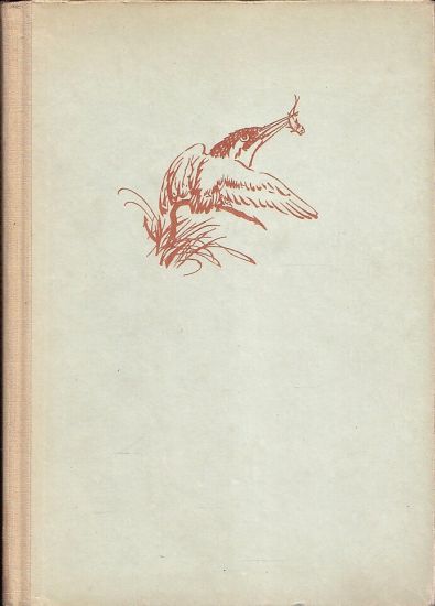 Rybarici na Modre zatoce - Novy Karel | antikvariat - detail knihy