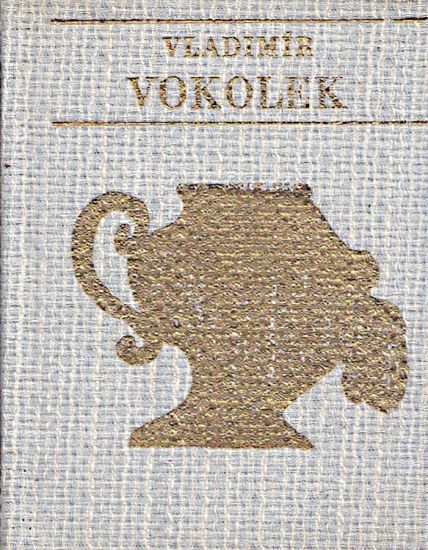 Cesta k poledni - Vokolek Vladimir | antikvariat - detail knihy