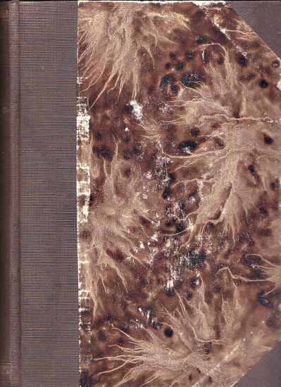 Velike dni  Roman z valky - Medek Rudolf | antikvariat - detail knihy