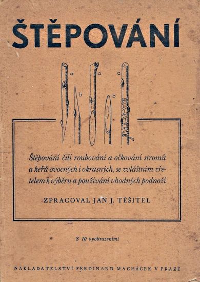 Stepovani - Tesitel Jan J | antikvariat - detail knihy