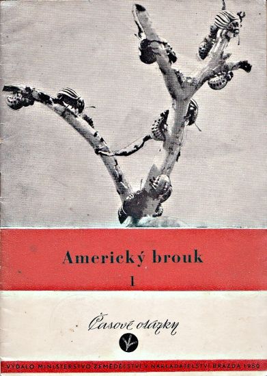 Americky brouk 1 Casove otazky - Kac Arnold Foltyn Jiri | antikvariat - detail knihy