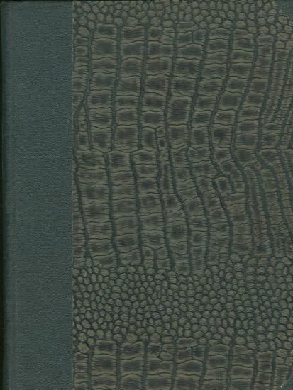 Rijnova revoluce - Trocky Lev | antikvariat - detail knihy