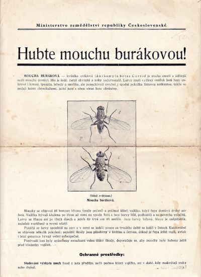 Hubte mouchu burakovou | antikvariat - detail knihy