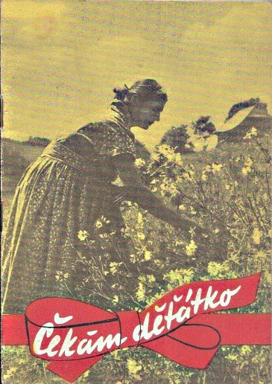 Cekam detatko - Krutova Eva | antikvariat - detail knihy
