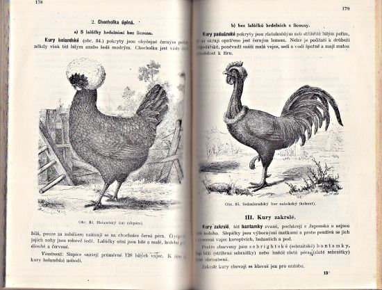 Chov zvirat hospodarskych Ucebna kniha pro stredni skoly hospodarske  I II III - Hessler Frantisek | antikvariat - detail knihy