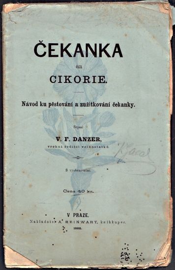 Cekanka cili cikorie - Danzer V F | antikvariat - detail knihy