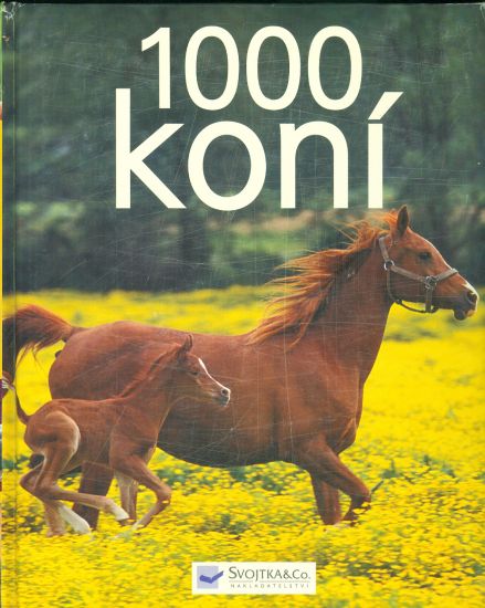 1000 koni | antikvariat - detail knihy