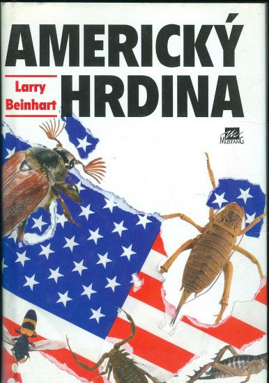 Americky hrdina - Beinhart Larry | antikvariat - detail knihy