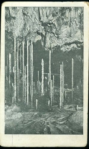 Pohled od severu na stalagmitovy lesik | antikvariat - detail pohlednice