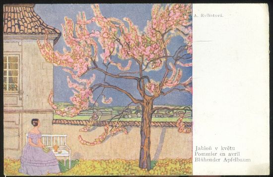 Jablon v kvetu - Roskotova A | antikvariat - detail pohlednice