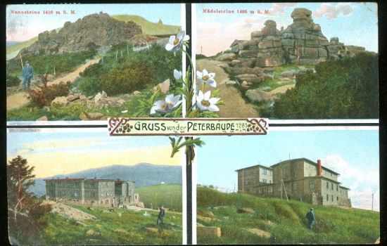 Gruss von der Peterbaude | antikvariat - detail pohlednice