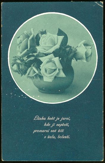 Laska kvet je jarni  | antikvariat - detail pohlednice