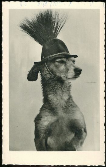 Pes v mysliveckem klobouku | antikvariat - detail pohlednice