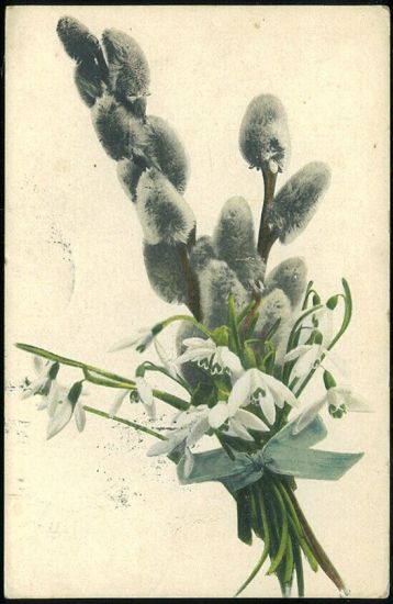 Kocicky | antikvariat - detail pohlednice