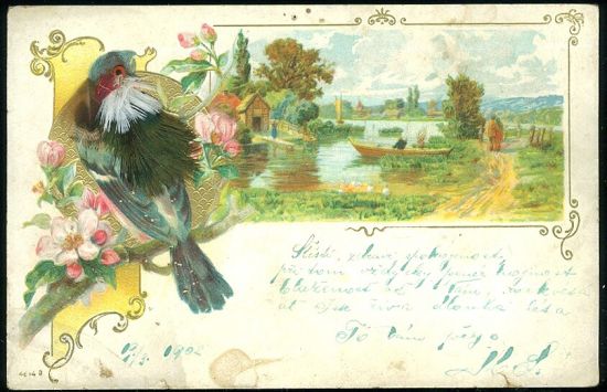 Prani | antikvariat - detail pohlednice