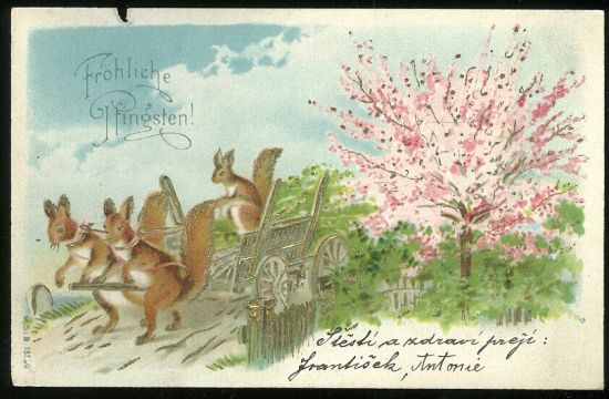 Frohliche Pfingsten | antikvariat - detail pohlednice