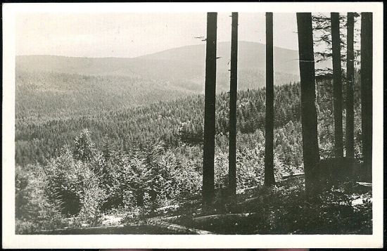 Pisek  More lesu | antikvariat - detail pohlednice