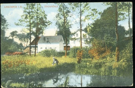 Landskron  Teichmuhle | antikvariat - detail pohlednice