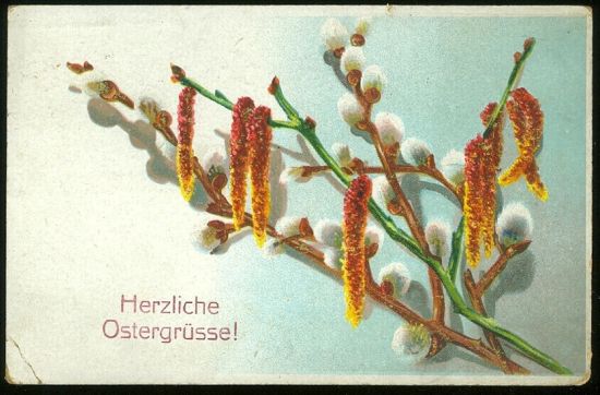Herzliche Ostergrusse | antikvariat - detail pohlednice