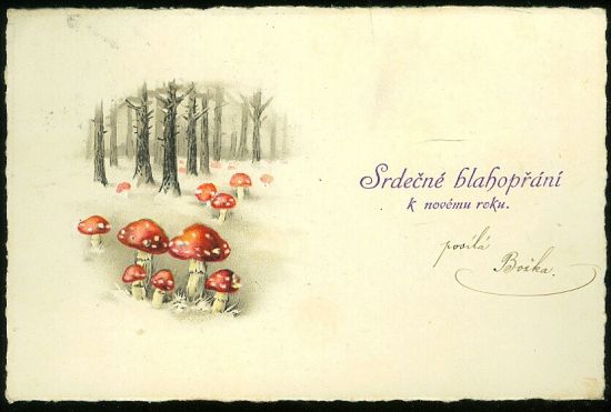 Srdecne blahoprani k novemu roku | antikvariat - detail pohlednice